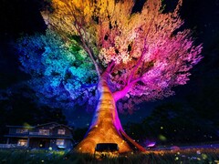 Las luces para árboles de exterior de Govee (en la imagen) se lanzarán en septiembre de 2025. (Fuente de la imagen: Govee)