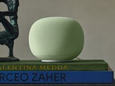 El altavoz Google Home lleva bastante tiempo listado en la Google Store estadounidense.