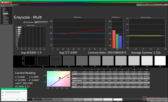 Escala de grises antes de la calibración (P3)