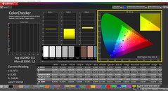 CalMAN ColorChecker (perfil: sRGB, espacio de color de destino: sRGB)