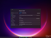 El programa Insider Preview de Windows 11 aún no ha llegado al canal Release Preview. (Fuente de la imagen: Microsoft)