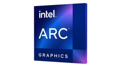 Intel lanzó las GPU de sobremesa Arc A750 y A770 en octubre de 2022. (Fuente: Intel)