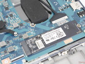 La SSD y la CPU tienen una refrigeración limitada probablemente debido al escaso peso objetivo del portátil Dynabook (Fuente de la imagen: Notebookcheck)