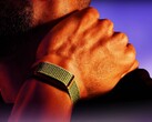 Se espera que Garmin lance próximamente una alternativa al Polar Loop que se muestra aquí.