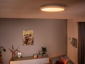 Las nuevas lámparas de techo Philips Hue Aurelle (en la imagen) serán más baratas que las versiones originales. (Fuente de la imagen: Philips Hue)