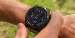 La serie Fenix 7 es una de las tres series de smartwatches que Garmin ha actualizado hasta ahora. (Fuente de la imagen: Garmin)