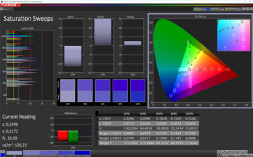 CalMAN: Saturación de color - espacio de color objetivo sRGB