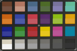 ColorChecker Passport: Colores objetivos en la mitad inferior de cada casilla.