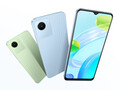 El Realme C30 viene en opciones de color verde bambú y azul lago. (Fuente de la imagen: Realme)