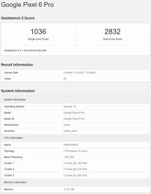 Pixel 6 Pro. (Fuente de la imagen: Geekbench)