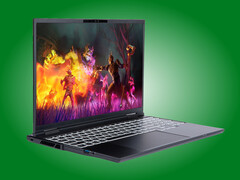 El Adder Pro cuenta con una pantalla OLED de 165 Hz y formato 16:10.
