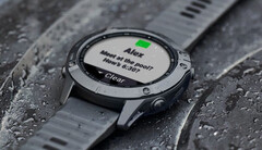 Garmin ha ralentizado en las últimas semanas el ritmo de publicación de actualizaciones beta para la serie Fenix 6. (Fuente de la imagen: Garmin)