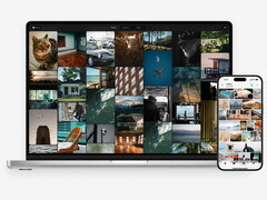 PC y smartphone con ZimaOS Photos