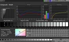 Escala de grises (Perfil: Original Pro, Espacio de color de destino: sRGB)
