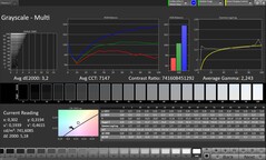 Escala de grises (Modo de color: Natural, Espacio de color de destino: sRGB)