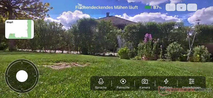 Vídeo en directo desde el jardín