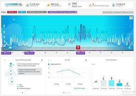 Polar Flow: El tablero de día es informativo y visualmente atractivo.