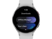 Google sigue dejando caer la pelota con Wear OS. (Fuente de la imagen: Google)