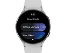 Google sigue dejando caer la pelota con Wear OS. (Fuente de la imagen: Google)