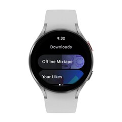 Google sigue dejando caer la pelota con Wear OS. (Fuente de la imagen: Google)