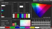 Espacio de color CalMAN sRGB - pantalla interior