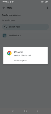 Chrome 137 viene preinstalado. (Fuente de la imagen: Sergey Tarasov - Notebookcheck)