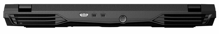 Trasero: HDMI 2.0, 2x Mini DisplayPort 1.4, alimentación
