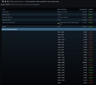 Resoluciones preferidas en la encuesta de Steam de junio de 2025 (Fuente de la imagen: captura de pantalla, Steam)