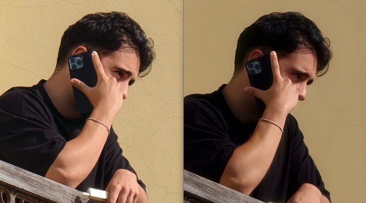 La comparación también es clara aquí. Izquierda: Con teleconvertidor a 400 mm. Derecha: Sin teleconvertidor