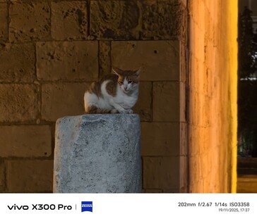 Vivo X300 Pro 200 mm sin teleconvertidor.