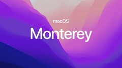 Todos los sistemas operativos compatibles con Applehan recibido nuevas compilaciones. (Fuente de la imagen: Apple)