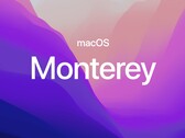 Todos los sistemas operativos compatibles con Applehan recibido nuevas compilaciones. (Fuente de la imagen: Apple)