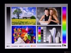 Amplios ángulos de visión OLED