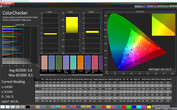 Precisión de color CalMan (perfil: Cálido, espacio de color objetivo: sRGB)