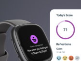 Después del 8 de julio, los clientes de Fitbit tendrán que utilizar la aplicación de Fitbit. (Fuente de la imagen: Fitbit)