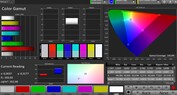 CalMAN Color Space sRGB – Modo de visualización ajustable