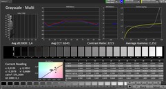 CalMAN - Escala de grises (pantalla exterior) - Configuración de color natural