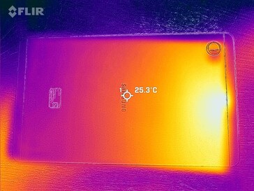 Mapa de calor trasero