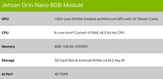 Nano de 8 GB. (Fuente de la imagen: Nvidia)