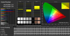 CalMAN: ColorChecker (calibrado)