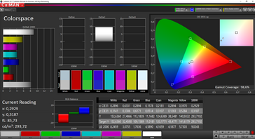 CalMAN Espacio de colores: 98.6% sRGB