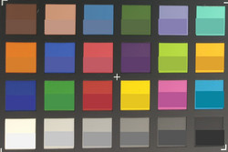 ColorChecker Passport: color objetivo mostrado en la mitad inferior de cada campo.