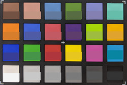 ColorChecker: La mitad inferior de cada área de color muestra el color de referencia.