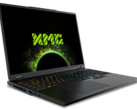 El salto generacional entre la RTX 4080 móvil y la RTX 5080 móvil está donde esperamos que esté sin ninguna función de escalado DLSS (Fuente de la imagen: Schenker)
