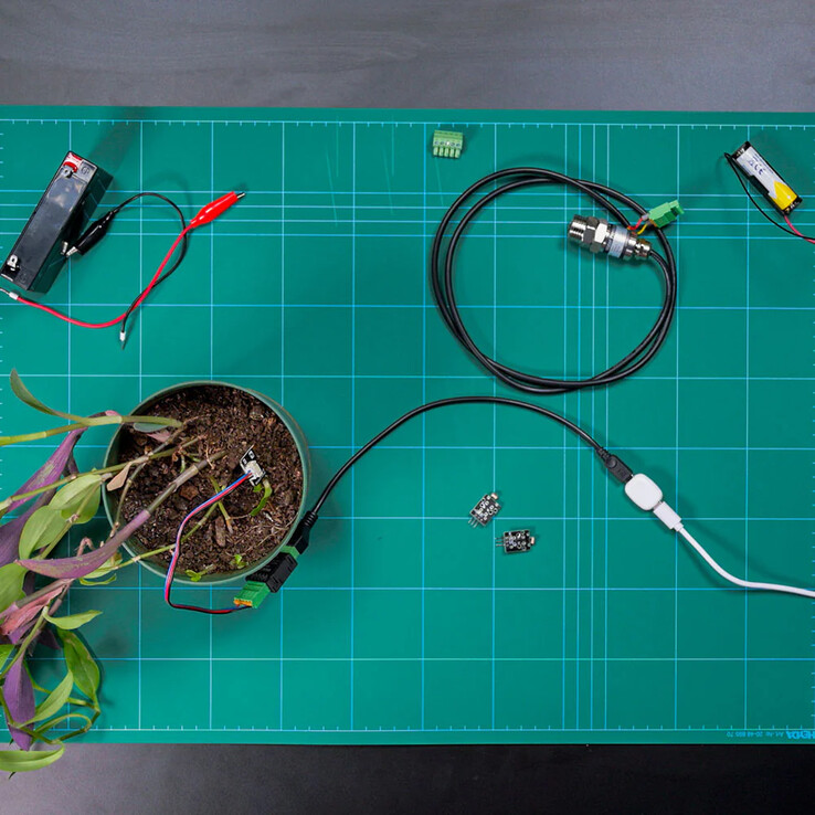 La píldora de Shelly. (Fuente de la imagen: Shelly)