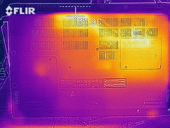 Distribución de calor en reposo (lado inferior)