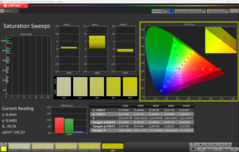Barridos de saturación CalMAN (después de la calibración)