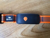 Weenect XT con collar Julius K9