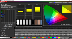 CalMAN: ColorChecker (calibrado)