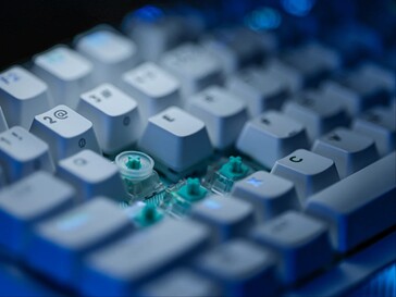 Anillo SAPP montado en el conmutador.